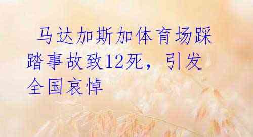 马达加斯加体育场踩踏事故致12死,引发全国哀悼