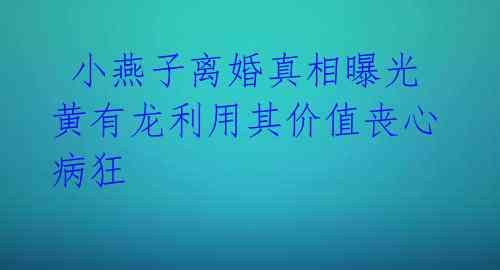 小燕子离婚真相曝光 黄有龙利用其价值丧心病狂