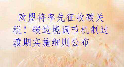 欧盟将率先征收碳关税!碳边境调节机制过渡期实施细则公布