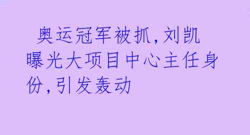  奥运冠军被抓,刘凯曝光大项目中心主任身份,引发轰动 