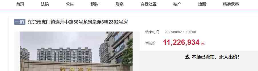 东莞虎门镇一套千万级别豪宅拍卖,引来众多有钱人竞拍