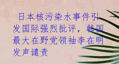日本核污染水事件引发国际强烈批评,韩国最大在野党领袖李在明发声谴责