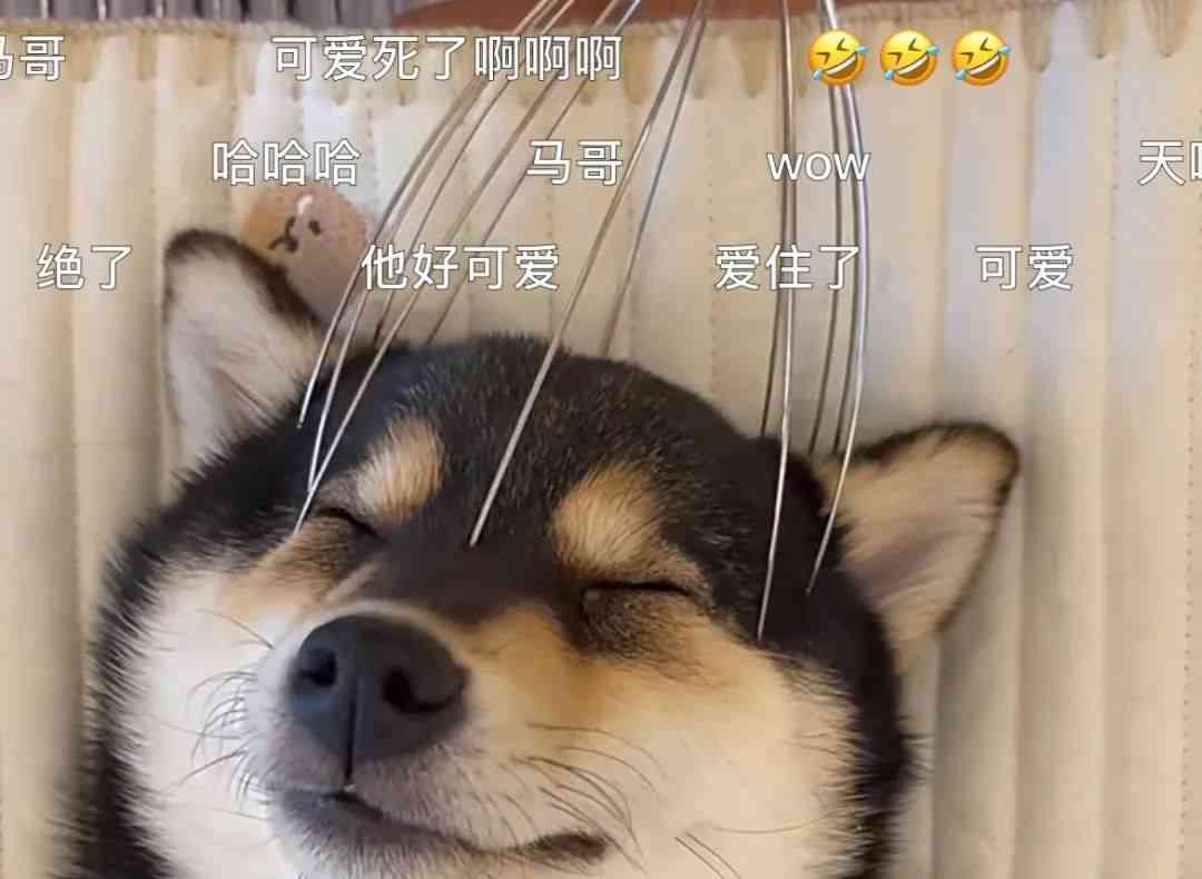 精神焕新！探寻迷恋清洁视频的心理原因 