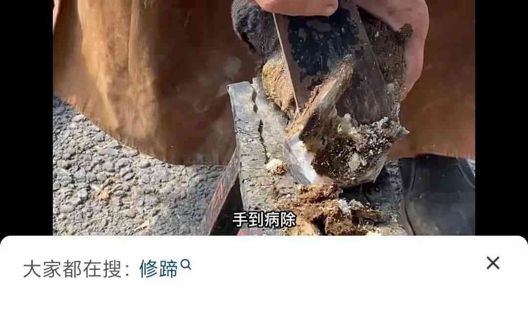  精神焕新！探寻迷恋清洁视频的心理原因 