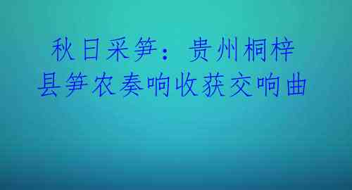 秋日采笋:贵州桐梓县笋农奏响收获交响曲