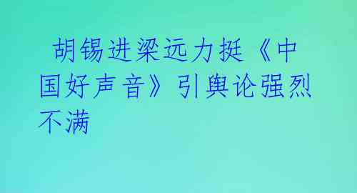  胡锡进梁远力挺《中国好声音》引舆论强烈不满 