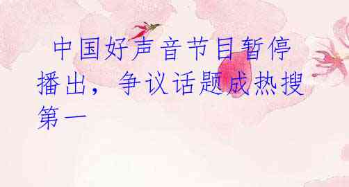 中国好声音节目暂停播出,争议话题成热搜第一