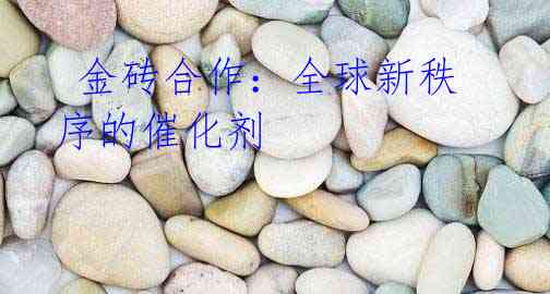  金砖合作：全球新秩序的催化剂
