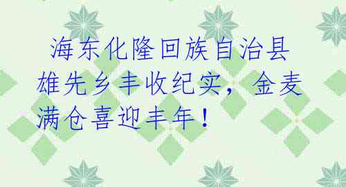  海东化隆回族自治县雄先乡丰收纪实，金麦满仓喜迎丰年！