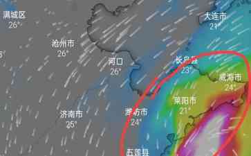  山东省将迎来今年最强降雨，暴雨+大风！ 