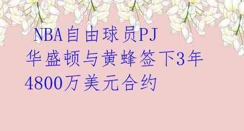  NBA自由球员PJ华盛顿与黄蜂签下3年4800万美元合约 