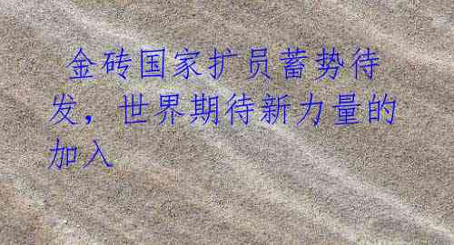  金砖国家扩员蓄势待发，世界期待新力量的加入