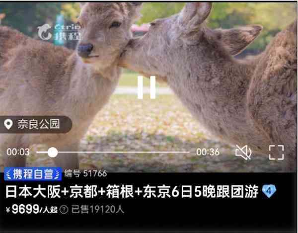  国庆出游市场变化，日本游退团现象上升