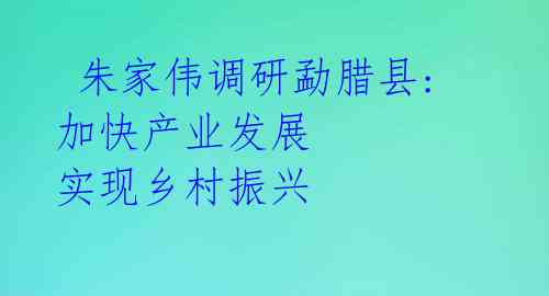  朱家伟调研勐腊县: 加快产业发展 实现乡村振兴
