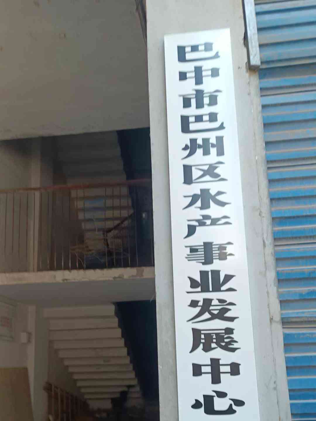 "孤立无助的声音！巴中海洋乐园再发水生野生动物死体事件"