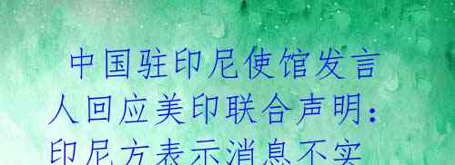  中国驻印尼使馆发言人回应美印联合声明：印尼方表示消息不实