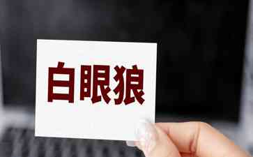  哈尔滨白眼狼沙刚沙勇兄弟突然现身北京，引起轰动