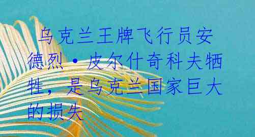  乌克兰王牌飞行员安德烈·皮尔什奇科夫牺牲，是乌克兰国家巨大的损失 