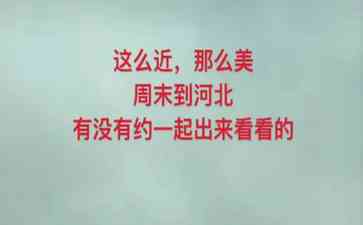  许敏离开河南，李圣赴河北带货引警方关注！