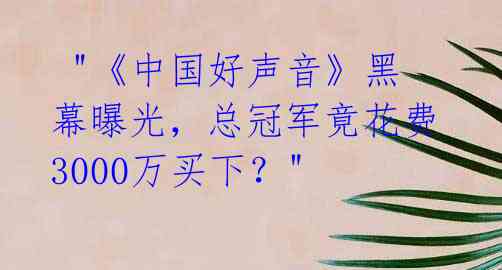  "《中国好声音》黑幕曝光，总冠军竟花费3000万买下？"