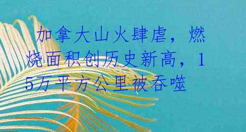 加拿大山火肆虐,燃烧面积创历史新高,15万平方公里被吞噬