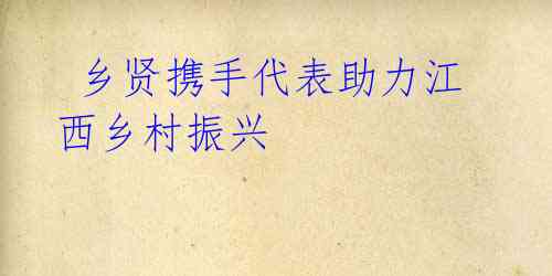 乡贤携手代表助力江西乡村振兴