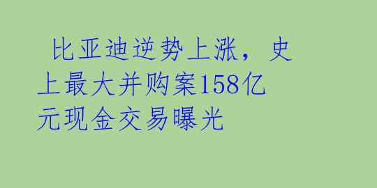  比亚迪逆势上涨，史上最大并购案158亿元现金交易曝光 