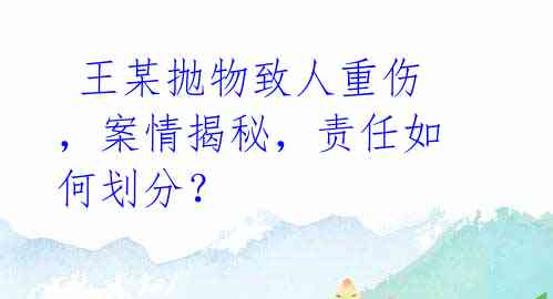  王某抛物致人重伤，案情揭秘，责任如何划分？