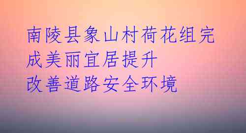 南陵县象山村荷花组完成美丽宜居提升 改善道路安全环境
