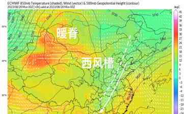  中东部地区迎来强降雨，部分地区降雨量达300毫米 