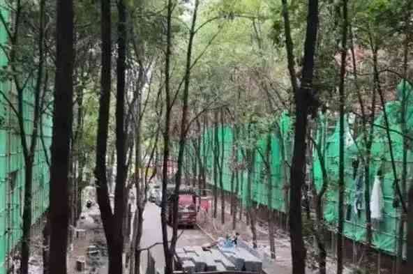 长沙医学院宿舍惊现施工现场 学生抱怨入住条件差