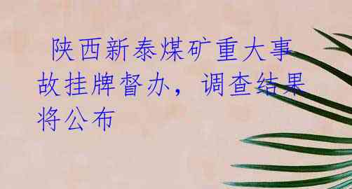  陕西新泰煤矿重大事故挂牌督办，调查结果将公布
