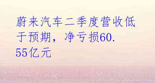 蔚来汽车二季度营收低于预期，净亏损60.55亿元 