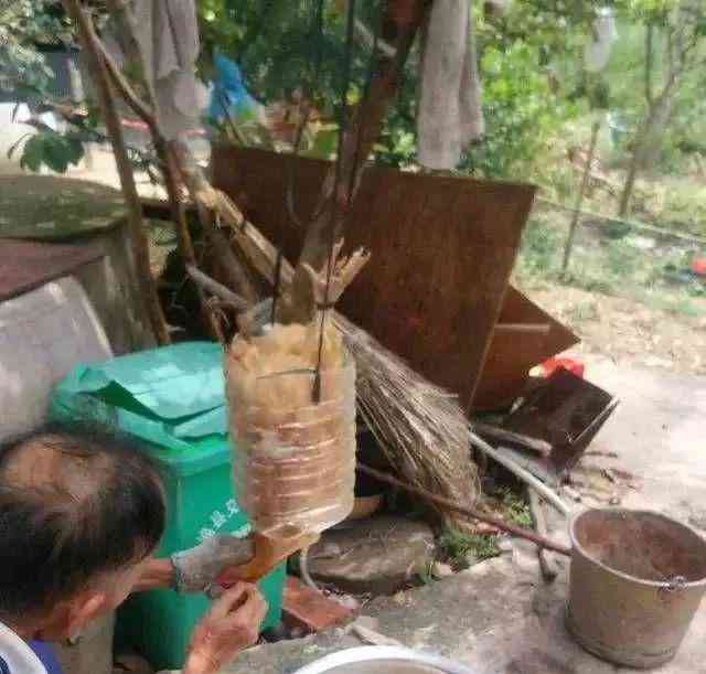  "容县七月十四鬼节，百万只鸭命不值一响！" 