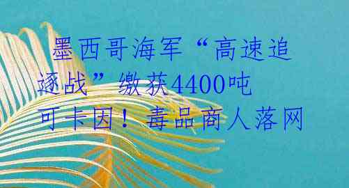 墨西哥海军“高速追逐战”缴获4400吨可卡因!毒品商人落网