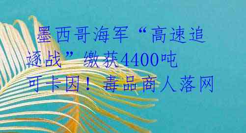  墨西哥海军“高速追逐战”缴获4400吨可卡因！毒品商人落网 