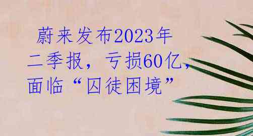 蔚来发布2023年二季报,亏损60亿,面临“囚徒困境”