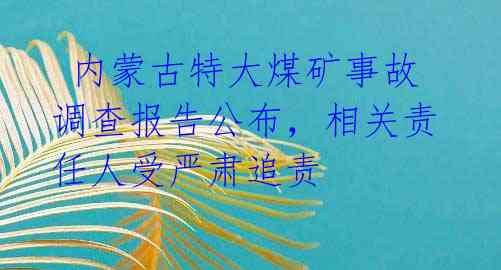 内蒙古特大煤矿事故调查报告公布,相关责任人受严肃追责