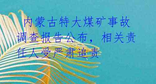  内蒙古特大煤矿事故调查报告公布，相关责任人受严肃追责 