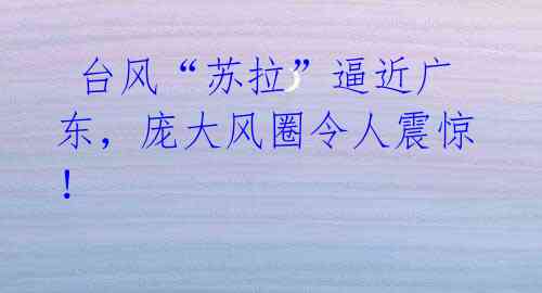台风“苏拉”逼近广东,庞大风圈令人震惊!