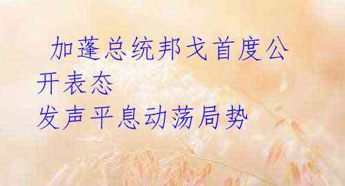 加蓬总统邦戈首度公开表态 发声平息动荡局势