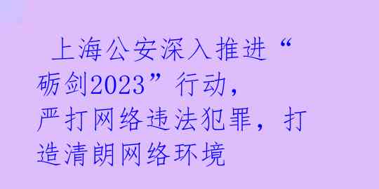上海公安深入推进“砺剑2023”行动,严打网络违法犯罪,打造清朗网络环境