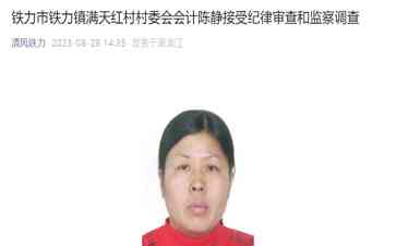 反腐大战浪潮涌动,一个普通村委会会计成为焦点