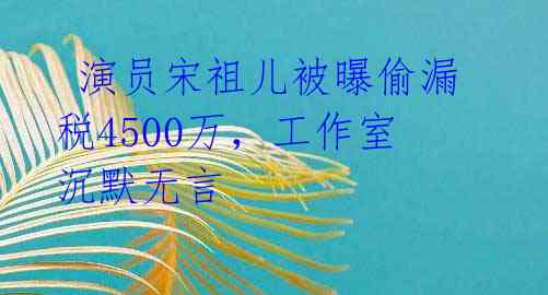  演员宋祖儿被曝偷漏税4500万，工作室沉默无言 