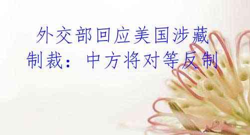 外交部回应美国涉藏制裁:中方将对等反制