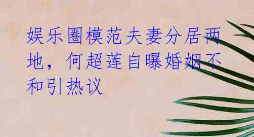 娱乐圈模范夫妻分居两地,何超莲自曝婚姻不和引热议