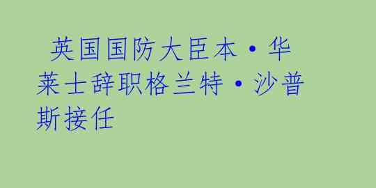 英国国防大臣本·华莱士辞职格兰特·沙普斯接任