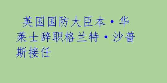  英国国防大臣本·华莱士辞职格兰特·沙普斯接任 