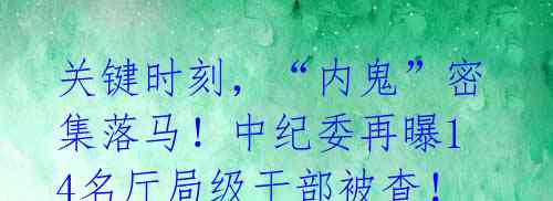 关键时刻,“内鬼”密集落马!中纪委再曝14名厅局级干部被查!
