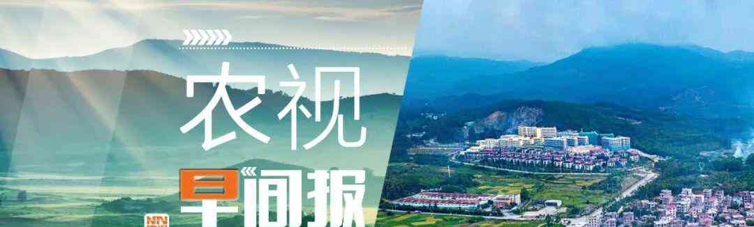 台风红色预警!“苏拉”或于9月1日登陆